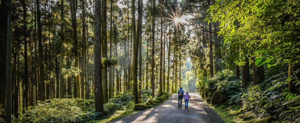 Xitou Forest Recreation Area